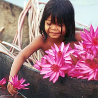 http://www.orient-travel.ru/image/country/cambodia/cam9-lotus.jpg
