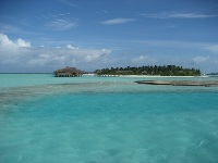  Anantara Veli Resort&Spa Maldives 5*